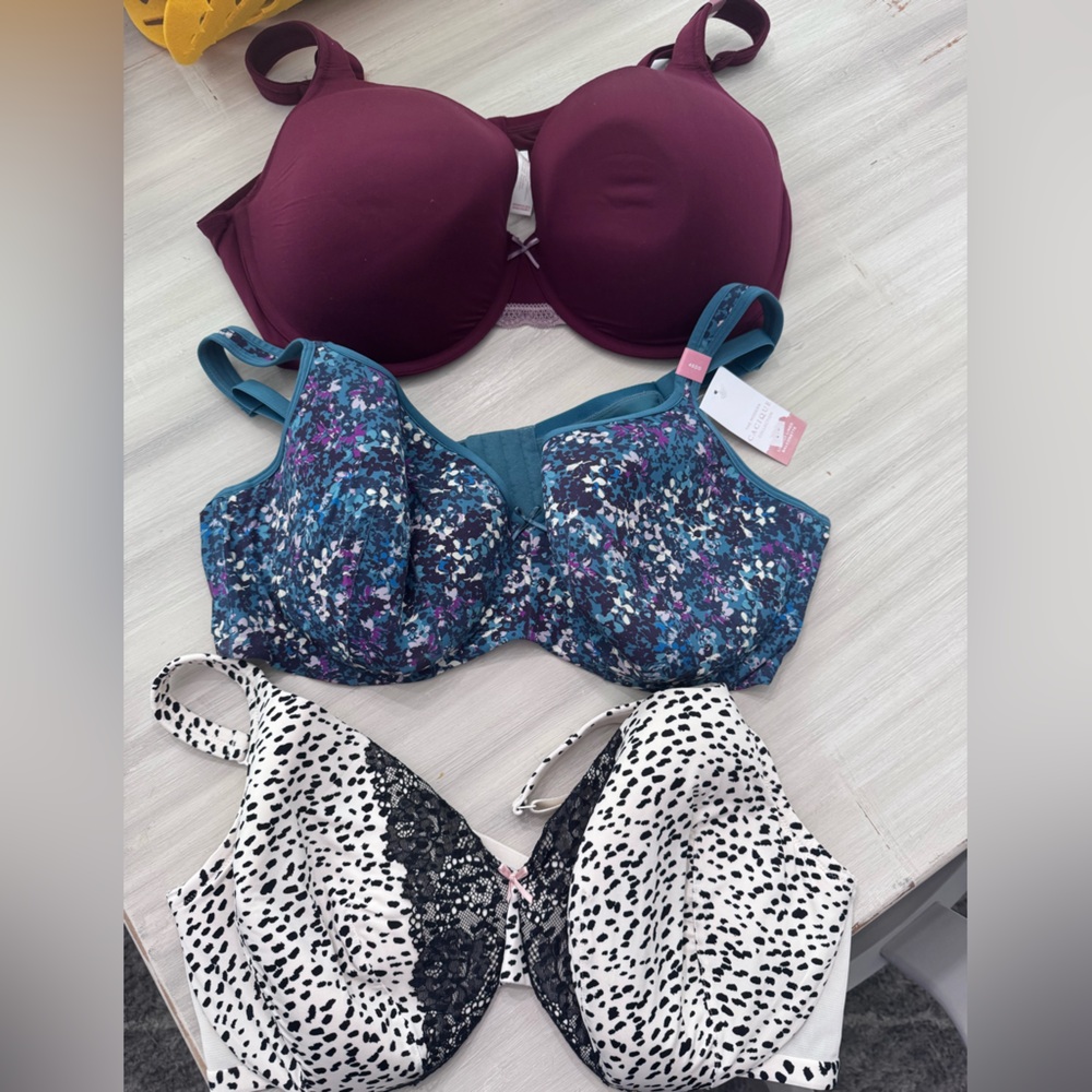 Cacique Burgundy, Teal Multi, and Black & White Pattern Bra Set
